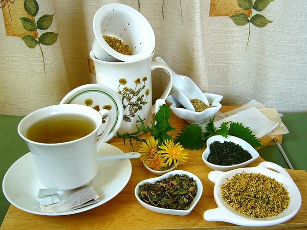 Quels sont les domaines d'application de la naturopathie ?